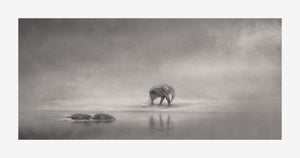 Black and White Animal Pictures | The Elephant + the Hippos Print. Beautiful elephant walking along river bed with 2 hippos walking in the water. Africa is one of those magical places where there is visual feast waiting to be discovered at very turn. Image shown with border.