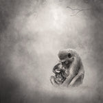 Monkey Art | The Monkey Print. Beautifully crafted in monochrome these ethereal images will ground you into nature, connect you with wildlife and immerse you in epic beauty. These delicious animals enveloped in a hazy mist are available printed on a lush Fine Art paper and on a strong spunbonded material.